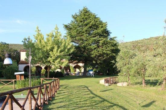 Agriturismo San Valentino Amelia Kültér fotó